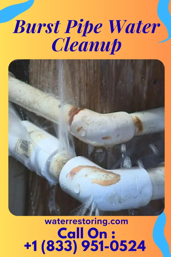 Burst Pipe Water Cleanup in University at Buffalo, NY