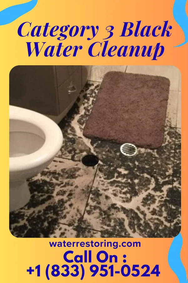 Category 3 Black Water Cleanup in University at Buffalo, NY