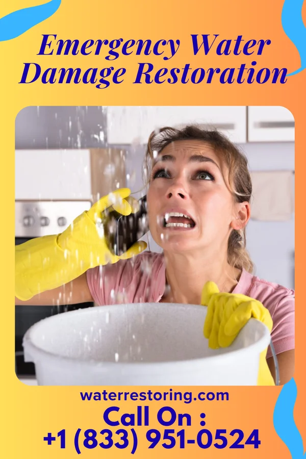 Emergency Water Damage Restoration in University at Buffalo, NY
