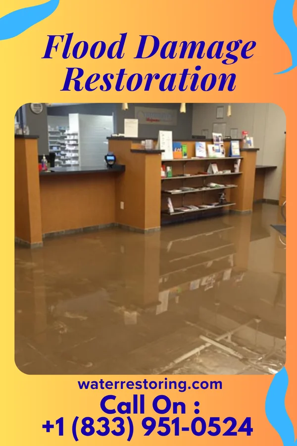 Flood Damage Restoration in University at Buffalo, NY