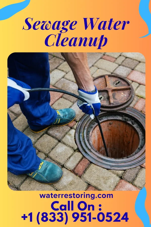 Sewage Water Cleanup in University at Buffalo, NY